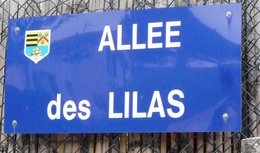 Les plus belles plaques