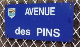 Les plus belles plaques