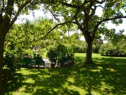 MAISON ET JARDINS DE CLAUDE MONET A GIVERNY (27620)