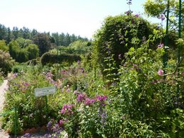 MAISON ET JARDINS DE CLAUDE MONET A GIVERNY (27620)