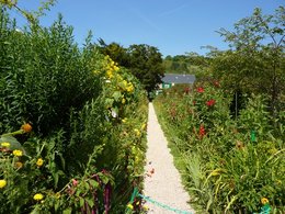 MAISON ET JARDINS DE CLAUDE MONET A GIVERNY (27620)