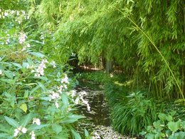 MAISON ET JARDINS DE CLAUDE MONET A GIVERNY (27620)