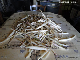 Les asperges