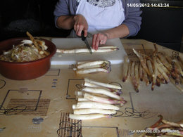 Les asperges