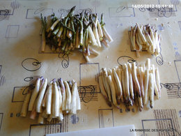 Les asperges