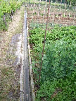 Faire une bordure en béton dans le potager