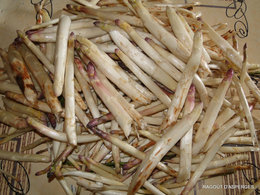 Ragoût d'asperges