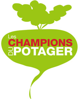 Nouvelle Saison Des Champions Du Potager !