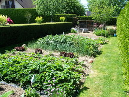 legumes du jardin