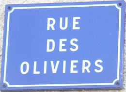 Les plus belles plaques