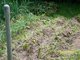 Le potager de Nannou87