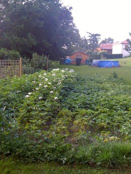 Le potager de Nannou87