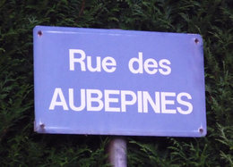 Les plus belles plaques