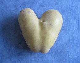patate en coeur ?