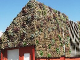 Avez-vous déjà vu une toiture végétale ?