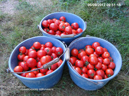 Le jardinage en septembre