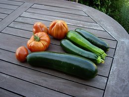 Le jardinage en septembre