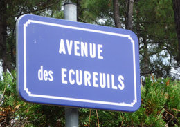 Les plus belles plaques