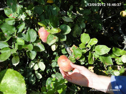 Le jardinage en septembre