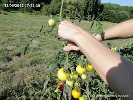 Le jardinage en septembre