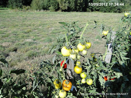 Le jardinage en septembre