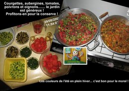 LA RATATOUILLE