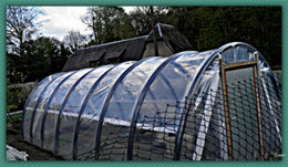 La serre de jardin . . . . du voisin !