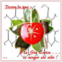 Fêtes des Saint(e)s du jardin . . . et leurs dictons !