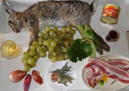 Lapin de garenne vigneronne