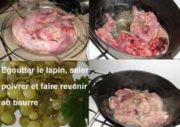 Lapin de garenne vigneronne