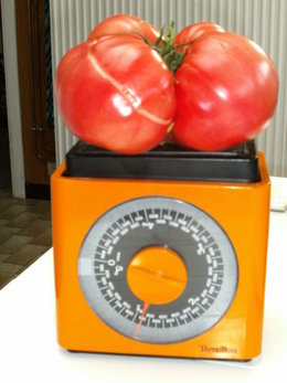 vos records de légumes; tomate