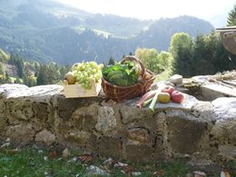 le bonheur d'avoir un jardin :-)