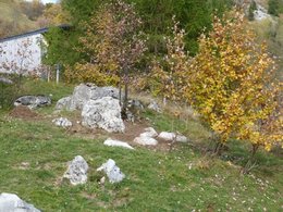 le bonheur d'avoir un jardin :-)