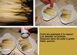 Gratin d'asperges