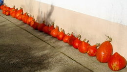 Fêtez-vous Halloween ?