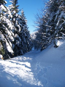 L'hiver tire à sa fin ......