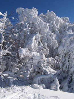 L'hiver tire à sa fin ......