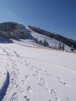 L'hiver tire à sa fin ......