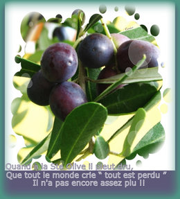 Fêtes des Saint(e)s du jardin . . . et leurs dictons !