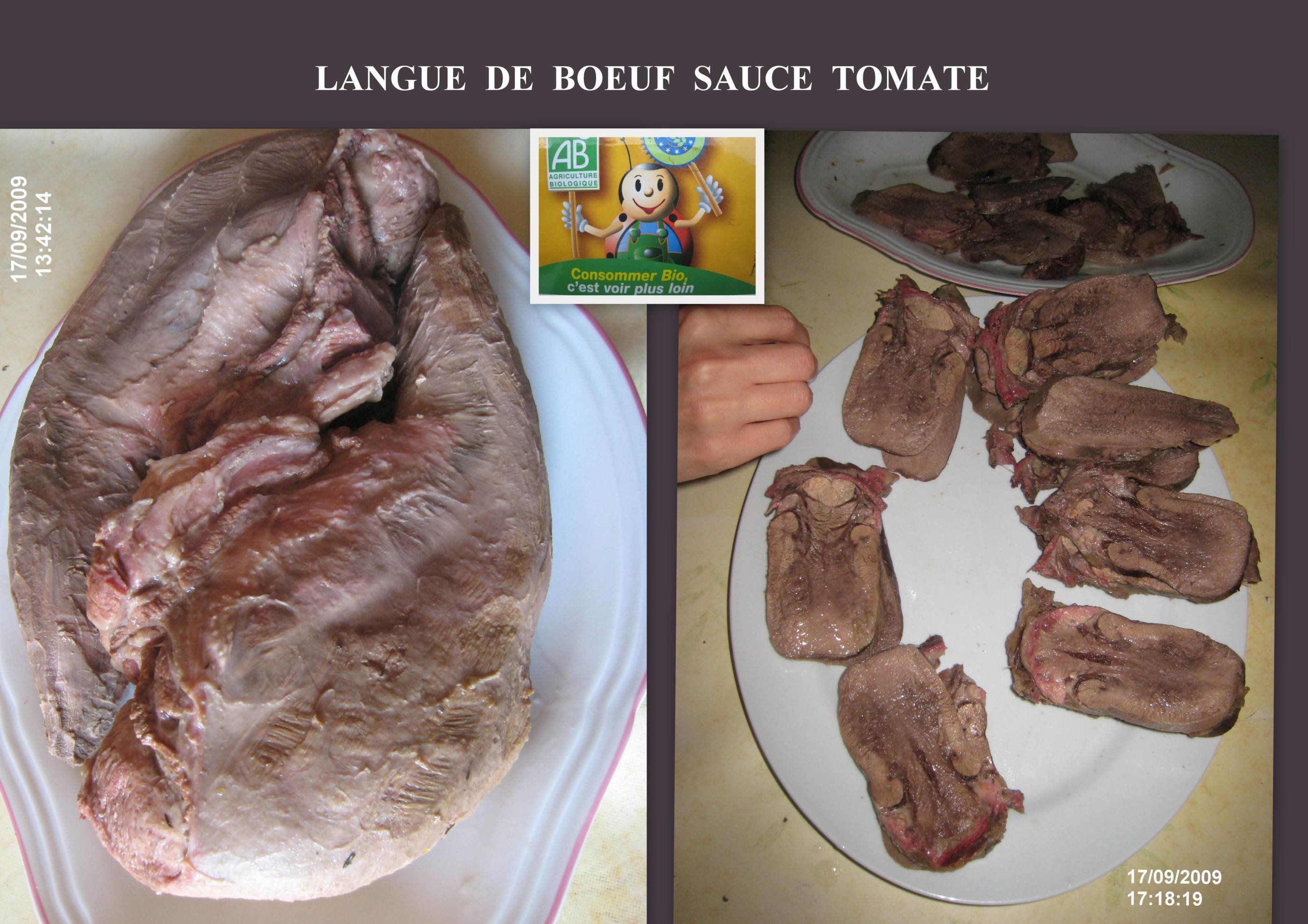 LANGUE DE BOEUF SAUCE TOMATE Forum jardinage