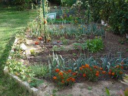 Evolution du potager de jardinier-amateur : de 2005 à 2011