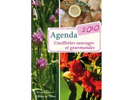 Acheter son agenda de l'année 2010