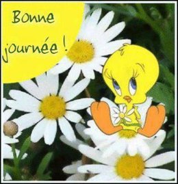 Je voudrais savoir comment s'appelle cet arbre