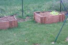 Bacs de potager médiéval en acier