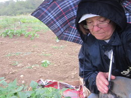 désastre de la pluie