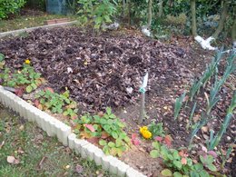 Comment occuper une surface de potager en hiver ?