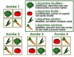 rotation des cultures
