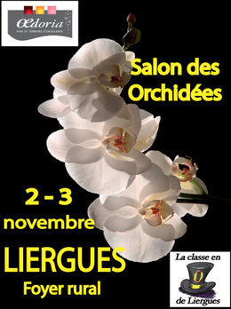 Salon des Orchidées à LIERGUES (Rhône) les 2et 3 novembre 2013