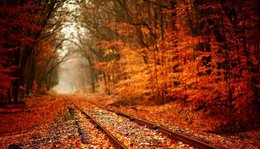 l'automne est arrivé !