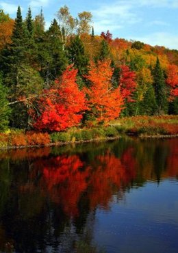 L'automne, ça vous inspire quoi ?